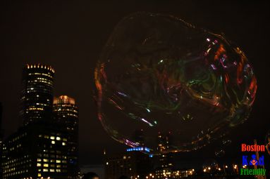 bubbles in boston