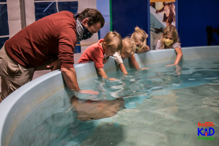 Visiting the Mystic Aquarium? What you need to know before you go.